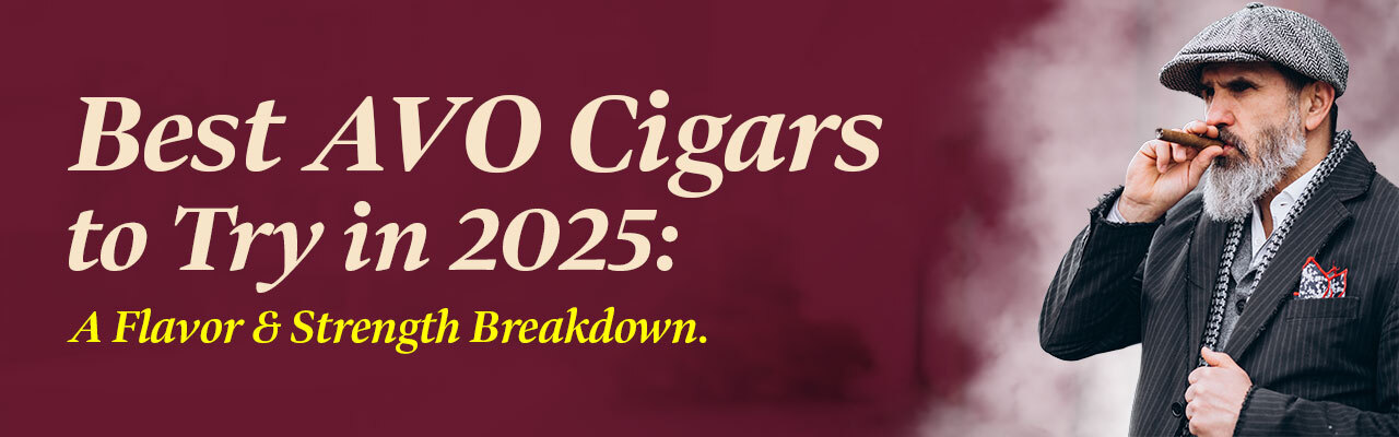 Best Avo Cigars to Try in 2025